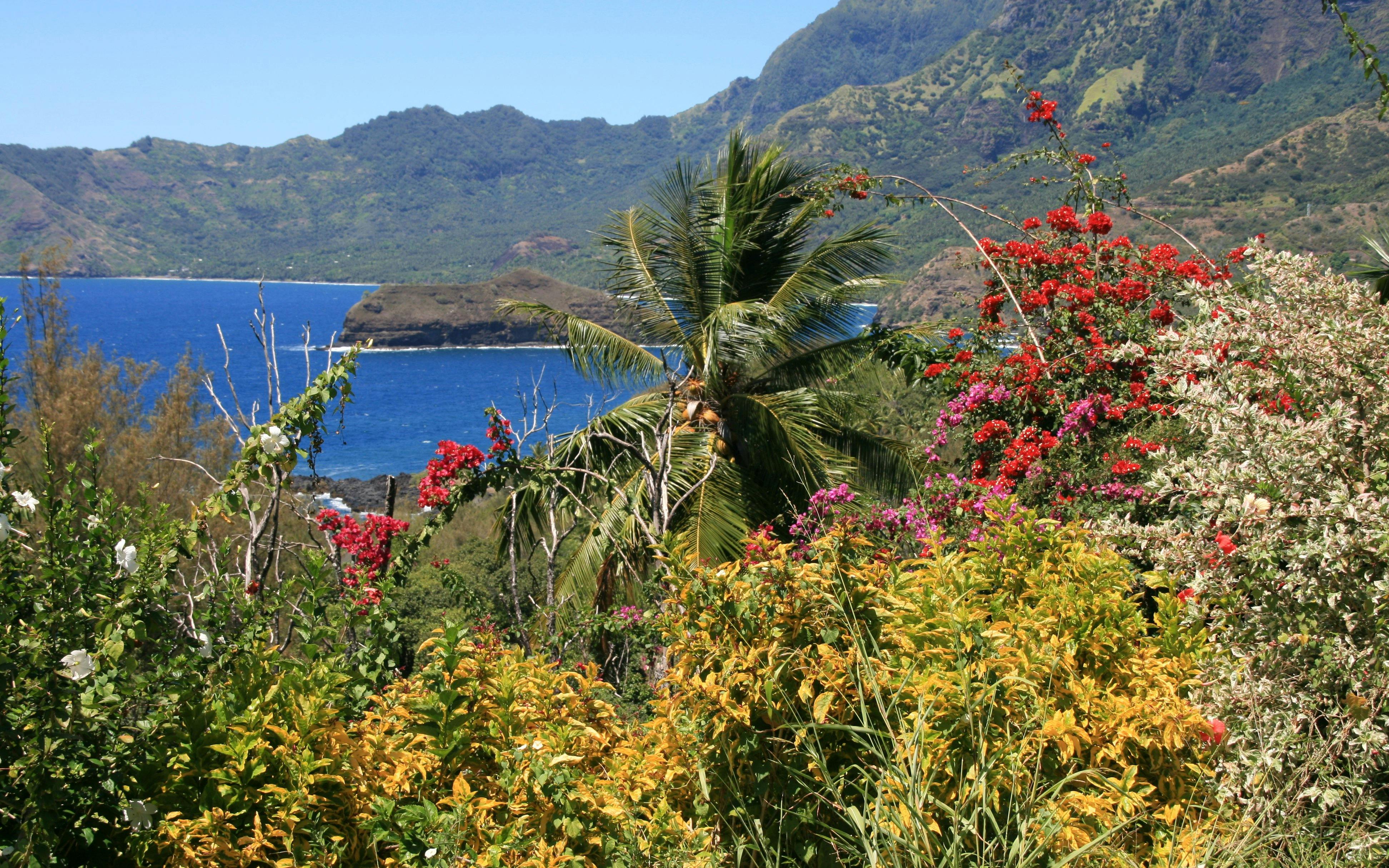 marquesas-tropical-moist-forests-one-earth